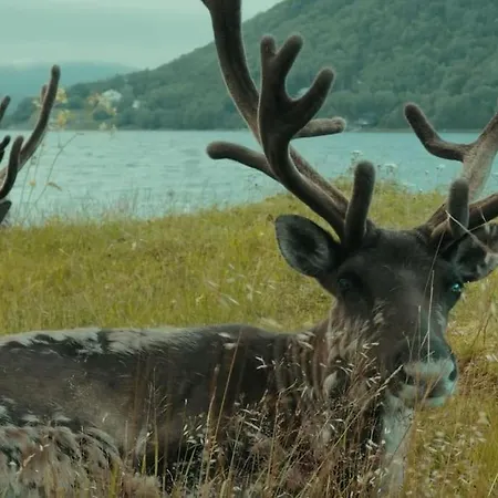 With Parking And Sauna *